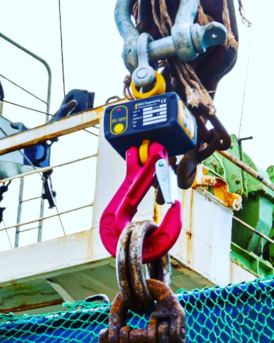 Ron 2501 H-03 Hook Type crane scale weighing tuna in the Pacific Ron 2501 H-03 Hook Type crane scale weighing tuna in the Pacific